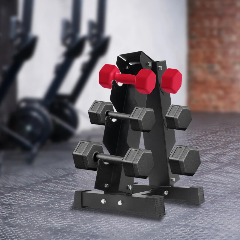 Home Gym Organization - Estante de mancuernas de metal para