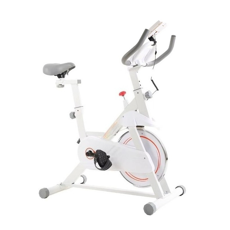 Bicicleta de spinning profesio - Home Gym Layout reseña y precio