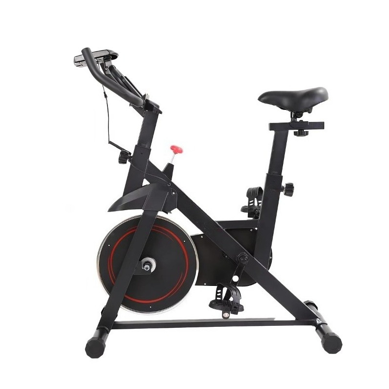 Bicicleta de spinning profesio - Home Gym Layout reseña y precio