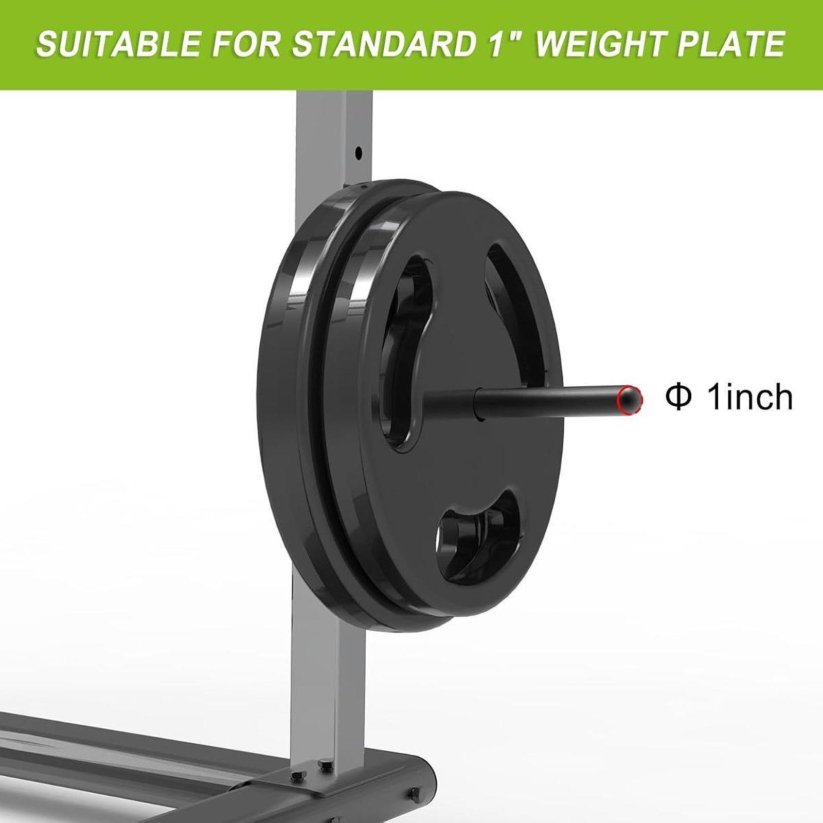 Soporte de Acero para Discos d - Home Gym Organization reseña y precio