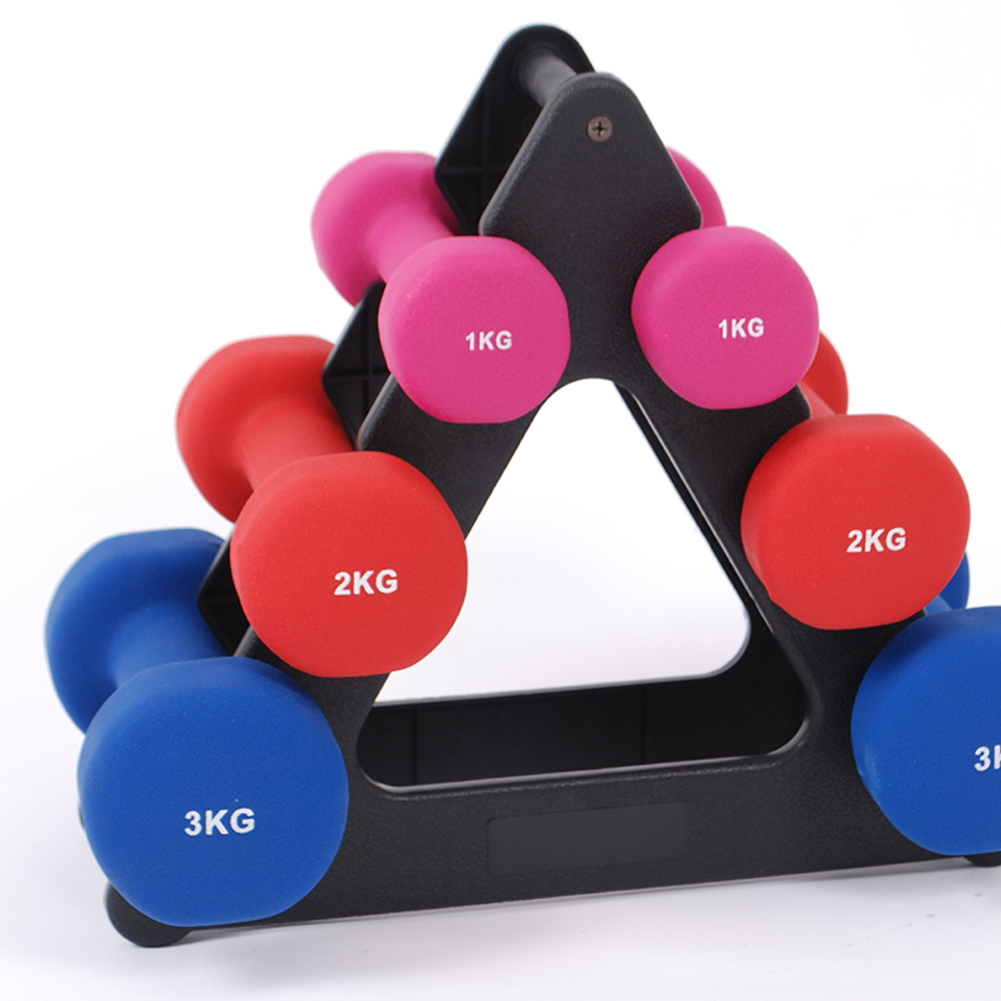 Organizador de Pesas Compacto, - Home Gym Organization reseña y precio